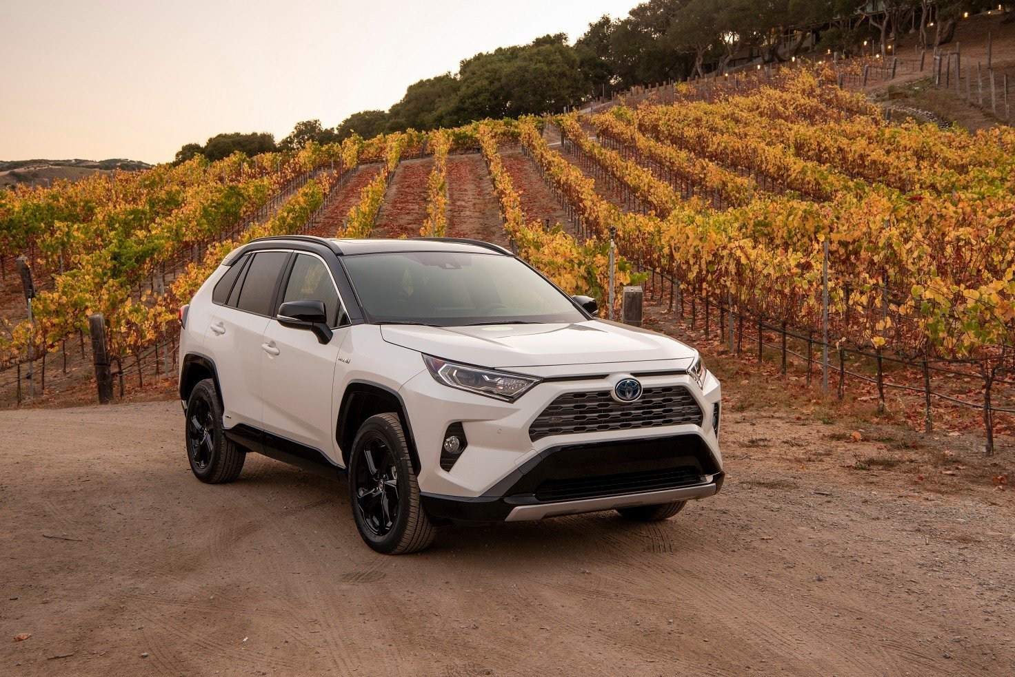 2019_Toyota_RAV4_XSE_Hybrid.jpg